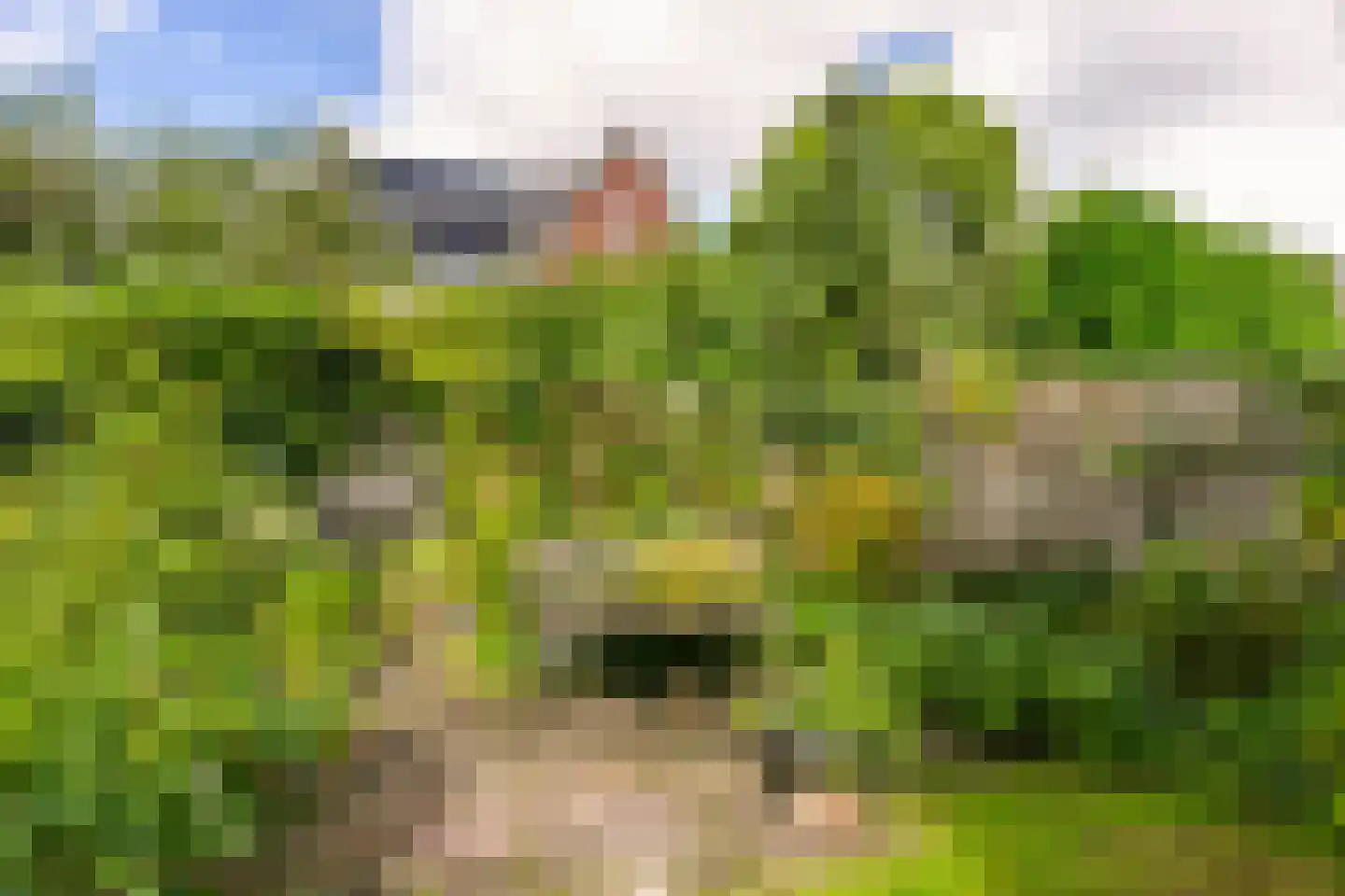 't Zand 5 Utrecht thumbnail 20