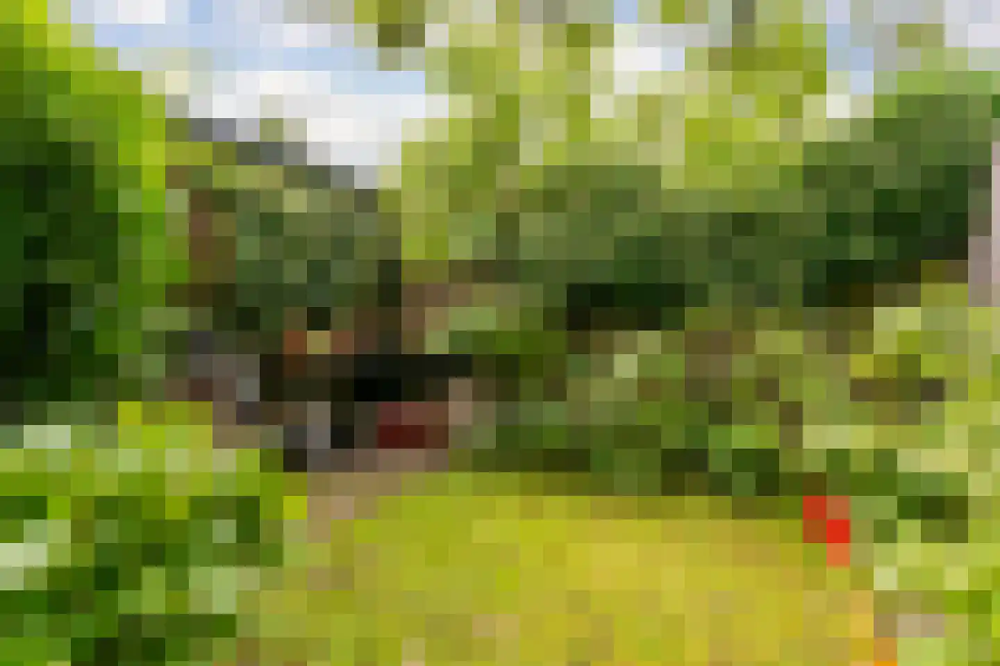 't Zand 5 Utrecht thumbnail 22