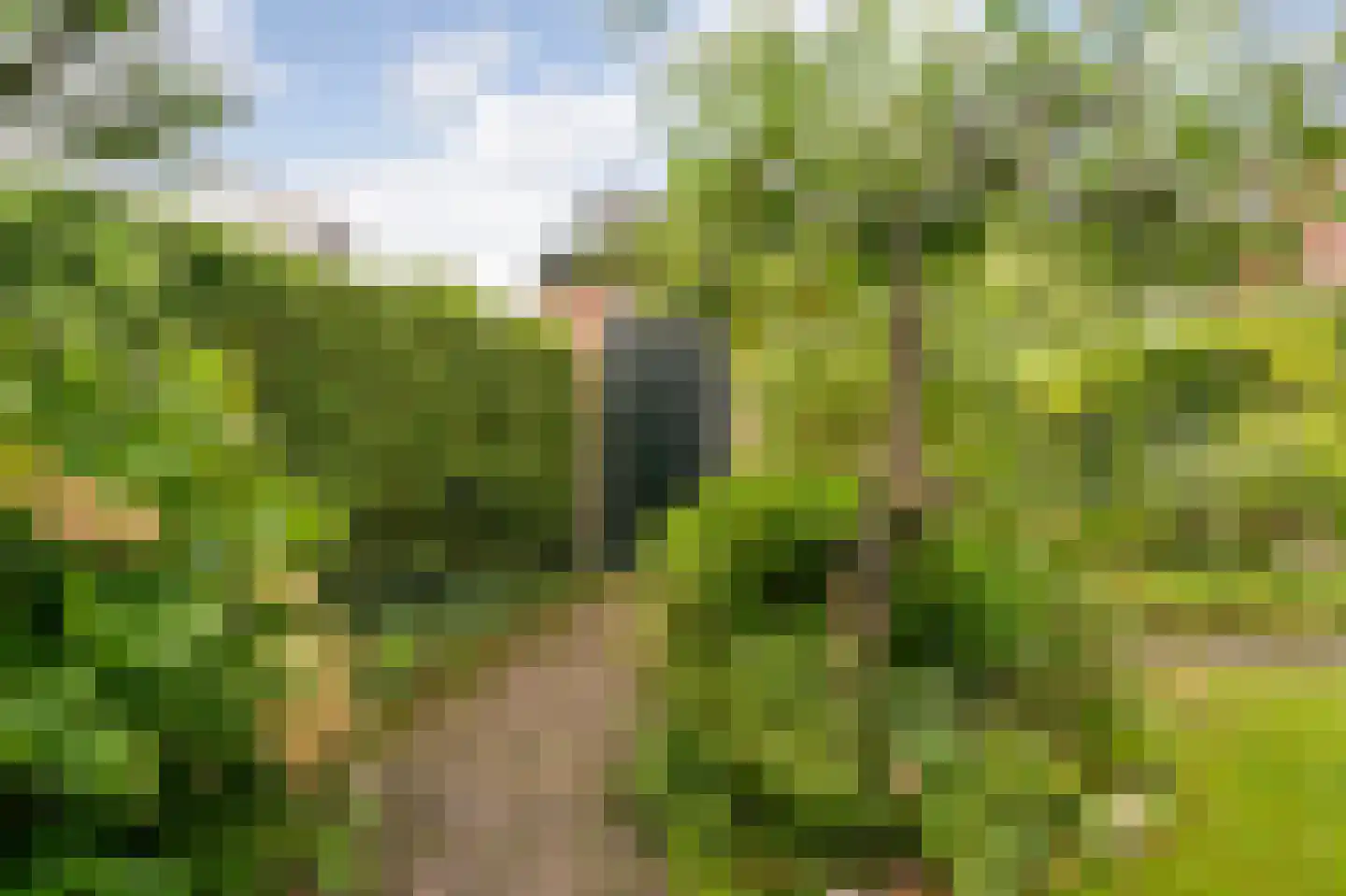 't Zand 5 Utrecht thumbnail 24