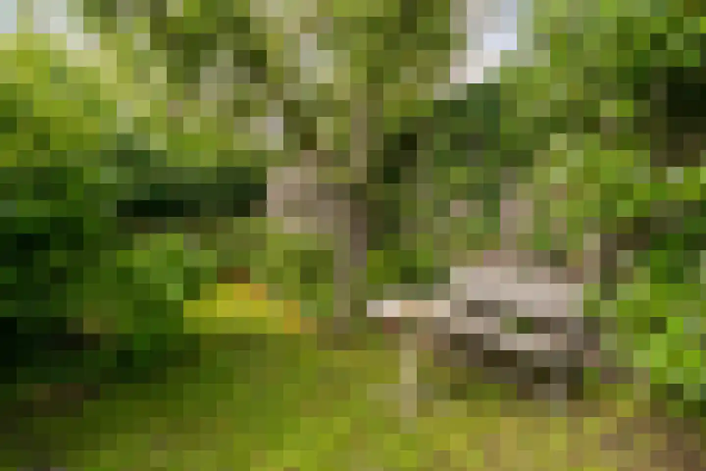 't Zand 5 Utrecht thumbnail 25