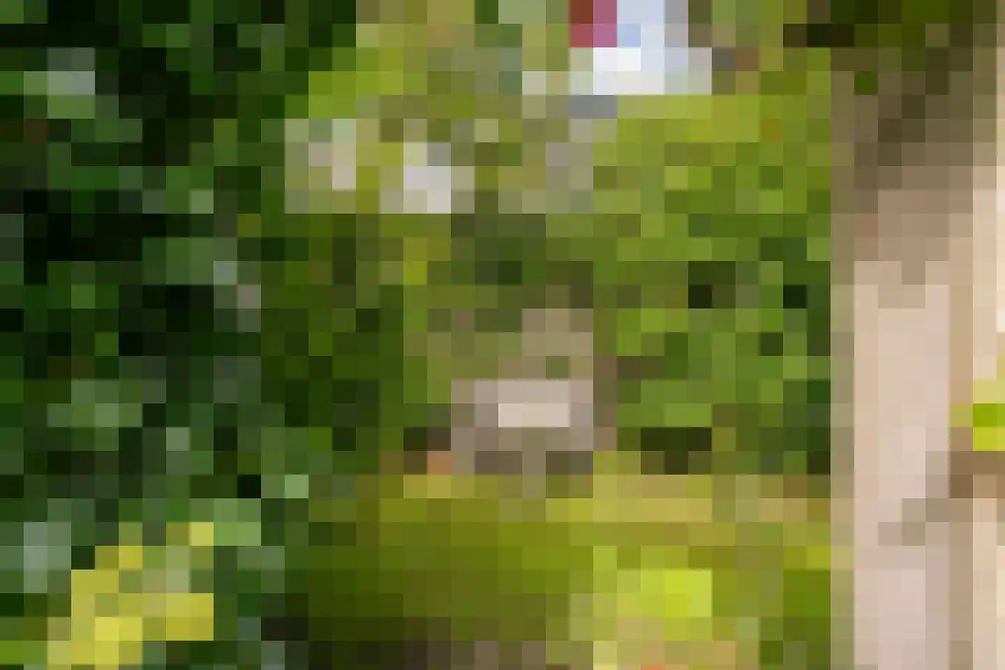 't Zand 5 Utrecht thumbnail 26