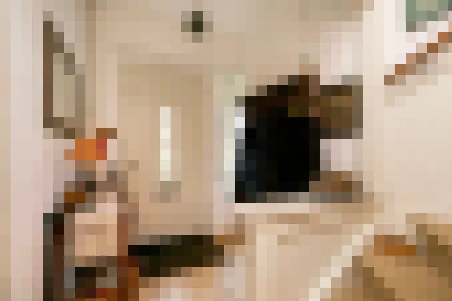 't Zand 5 Utrecht thumbnail 30