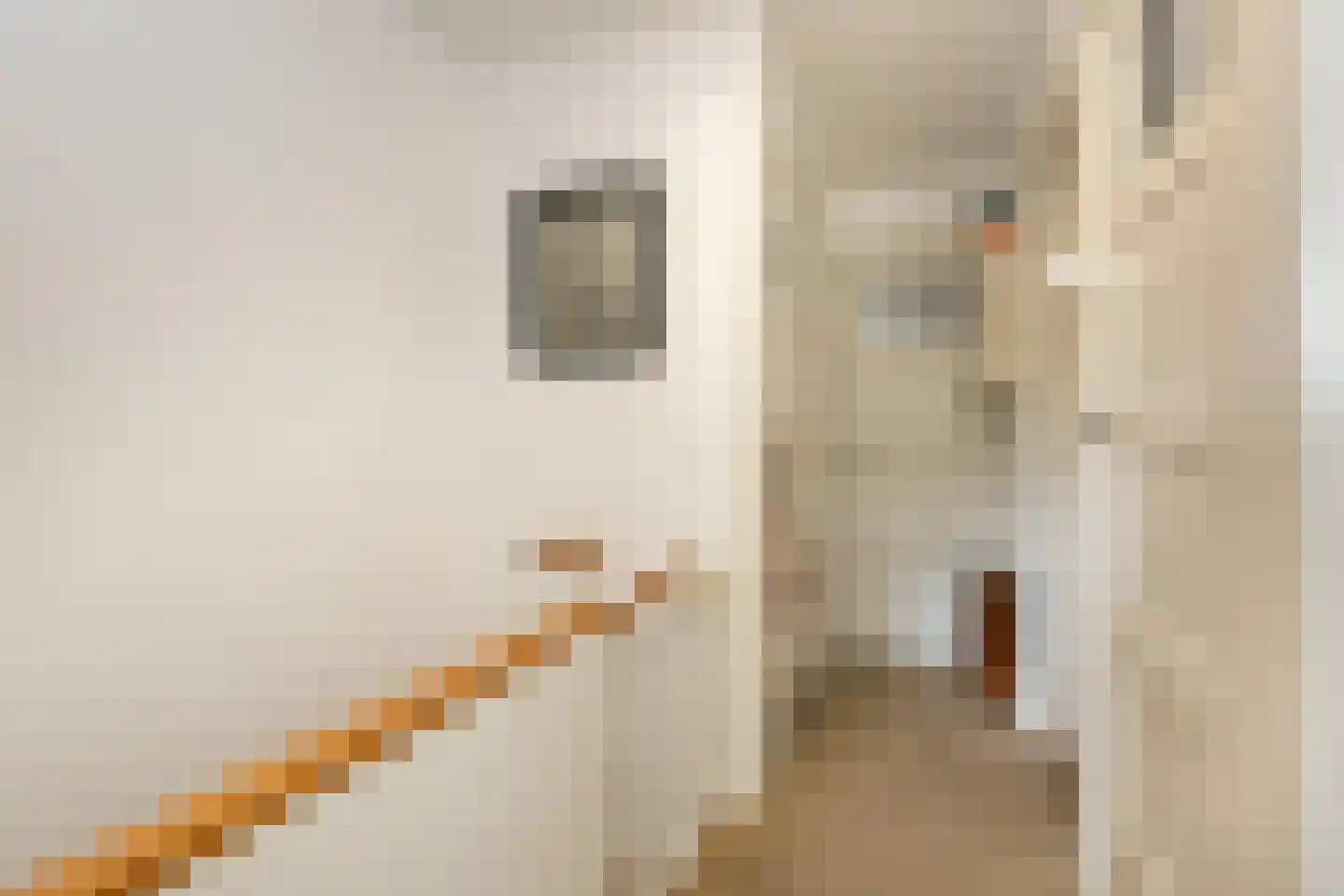 't Zand 5 Utrecht thumbnail 44