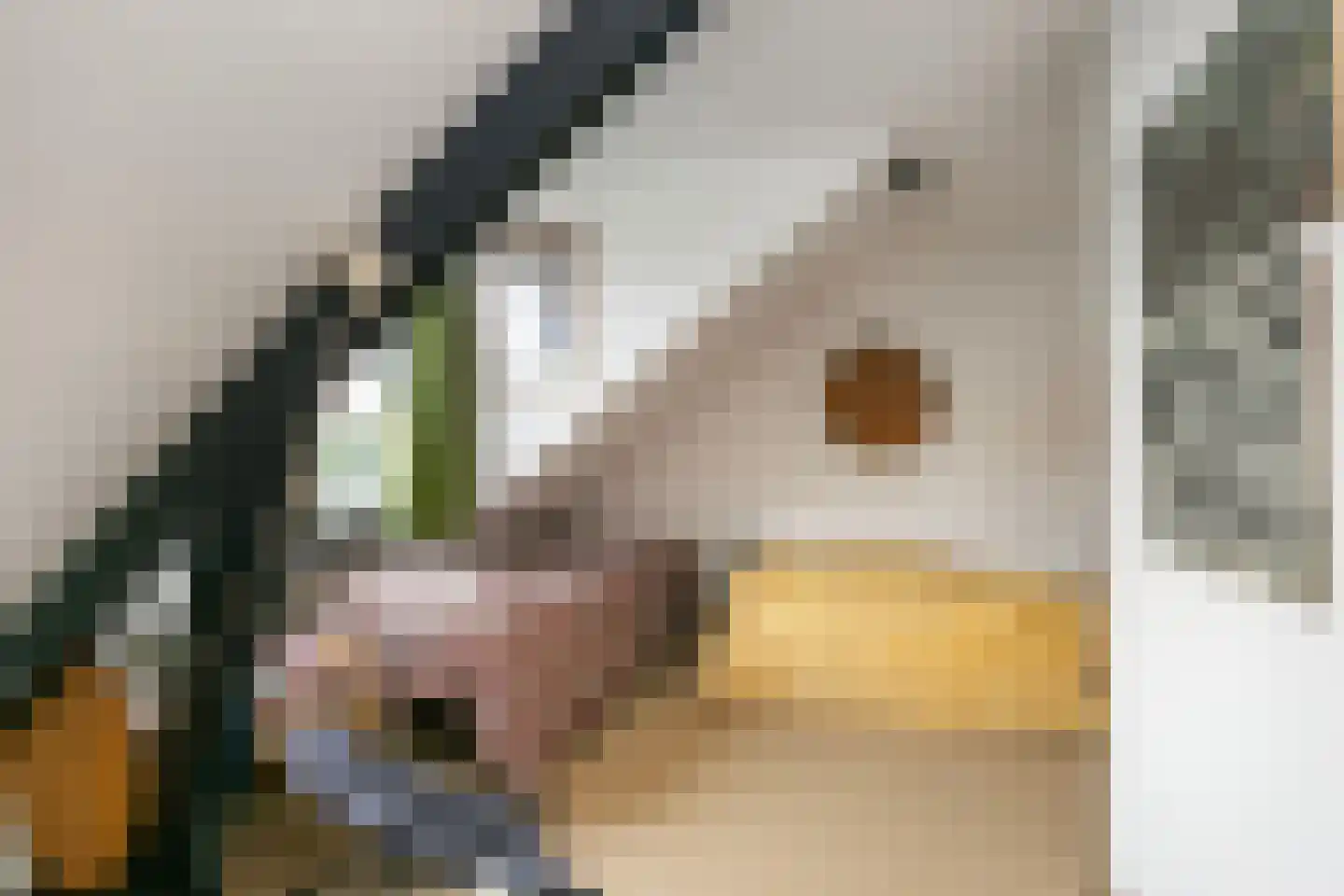 't Zand 5 Utrecht thumbnail 48