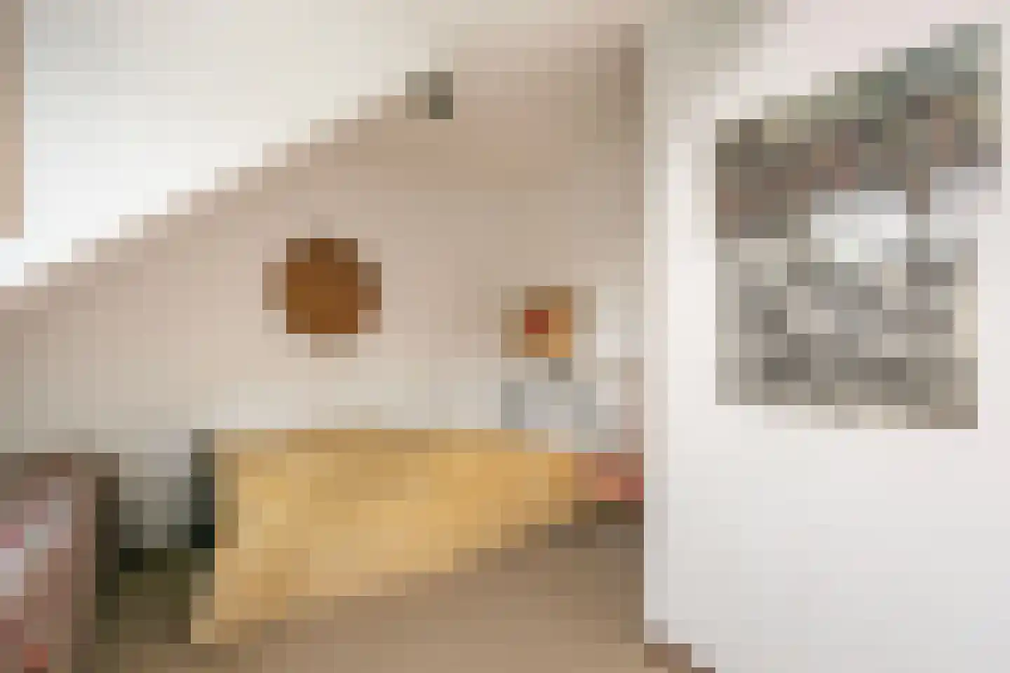 't Zand 5 Utrecht thumbnail 51