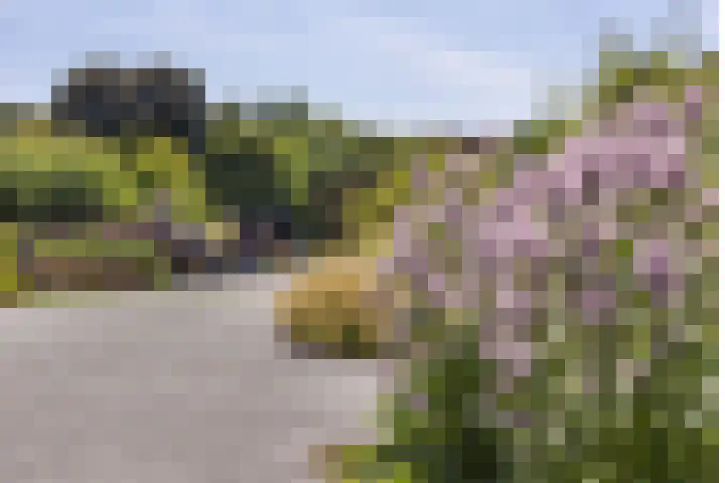 't Zand 5 Utrecht thumbnail 53