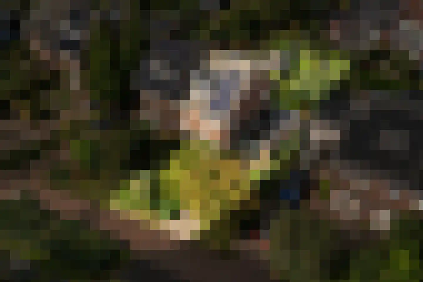't Zand 5 Utrecht thumbnail 6