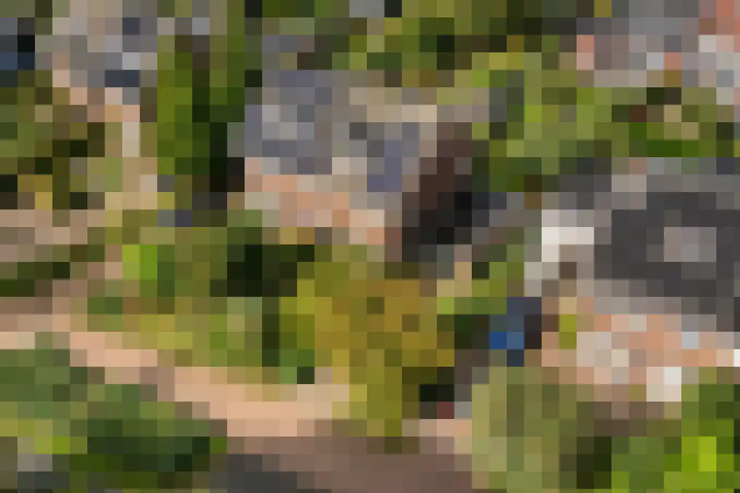 't Zand 5 Utrecht thumbnail 61