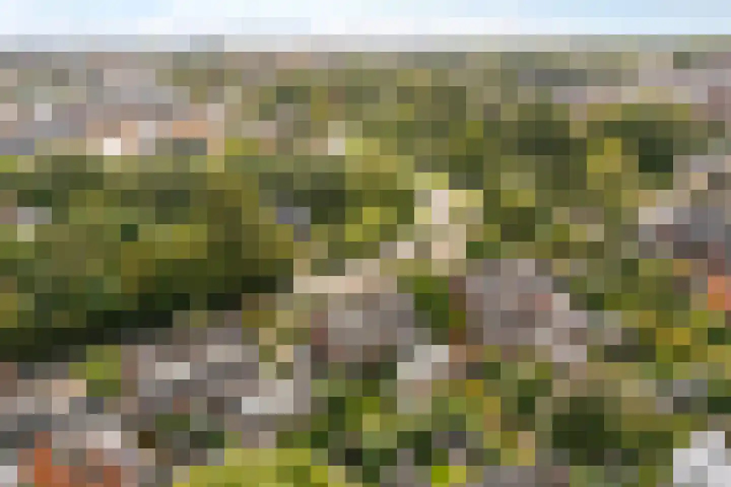 't Zand 5 Utrecht thumbnail 64