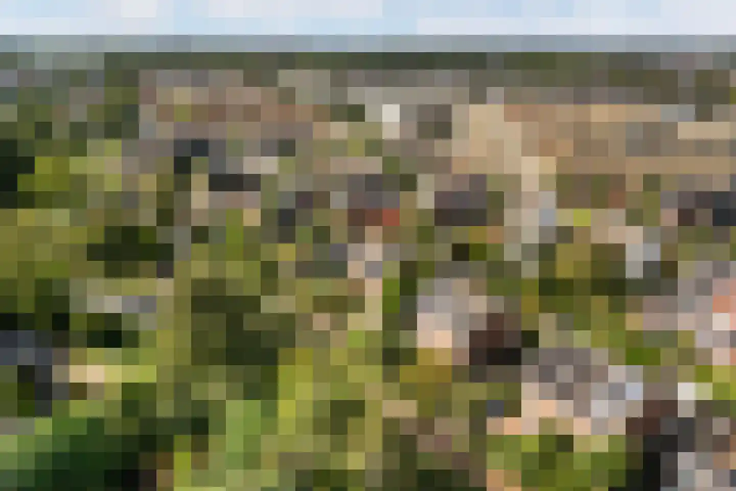 't Zand 5 Utrecht thumbnail 65