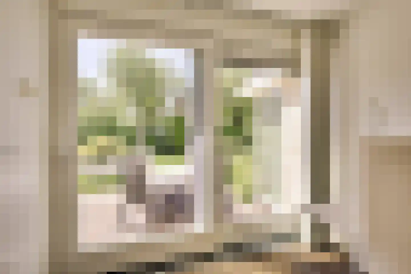 't Zand 6 Vianen thumbnail 14
