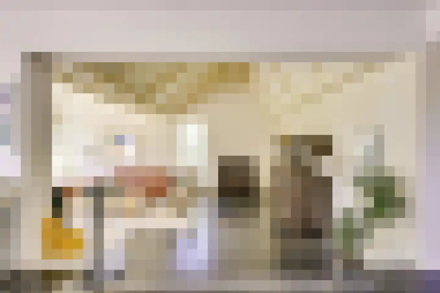 't Zand 6 Vianen thumbnail 15