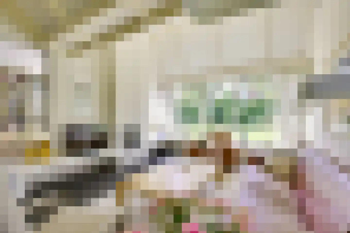 't Zand 6 Vianen thumbnail 17