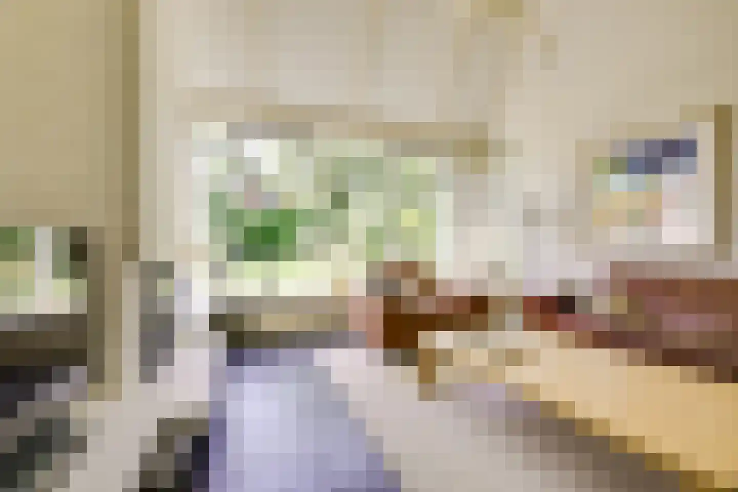 't Zand 6 Vianen thumbnail 18