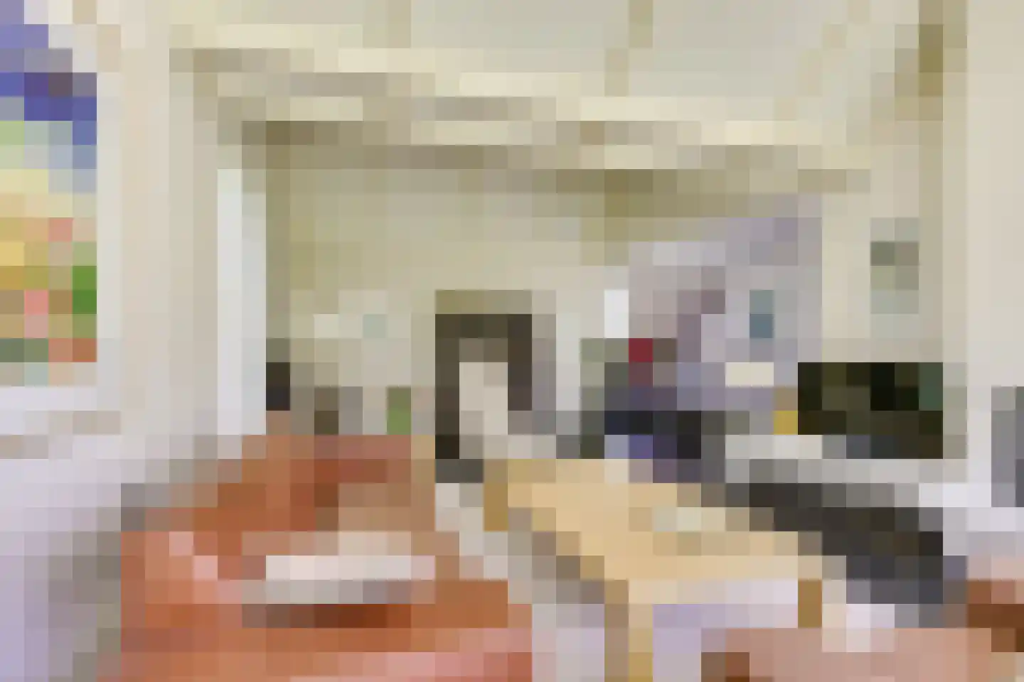 't Zand 6 Vianen thumbnail 19