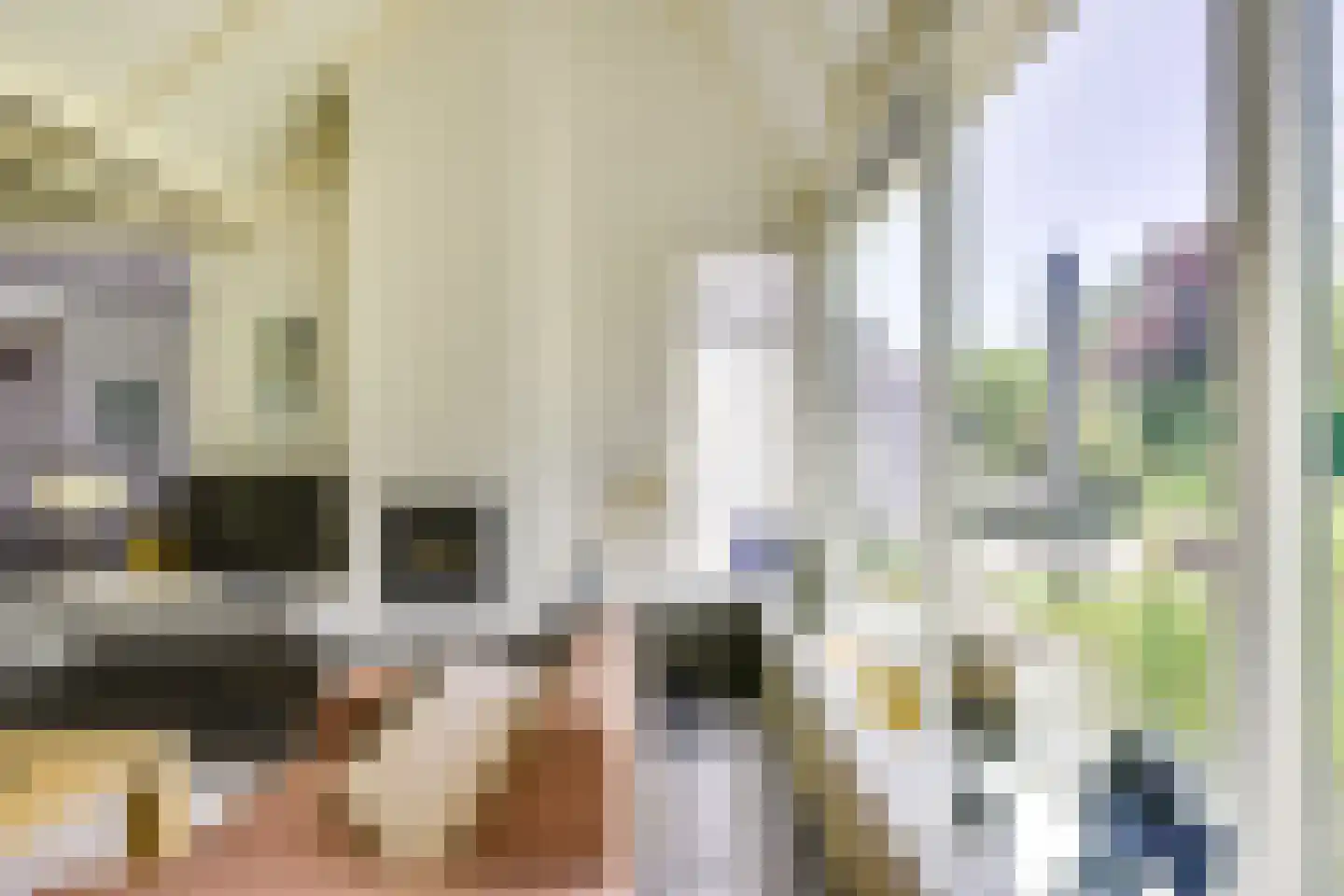 't Zand 6 Vianen thumbnail 20