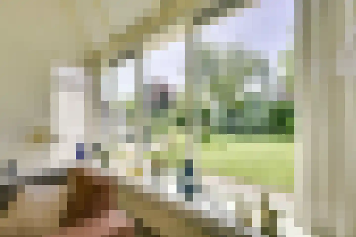 't Zand 6 Vianen thumbnail 21