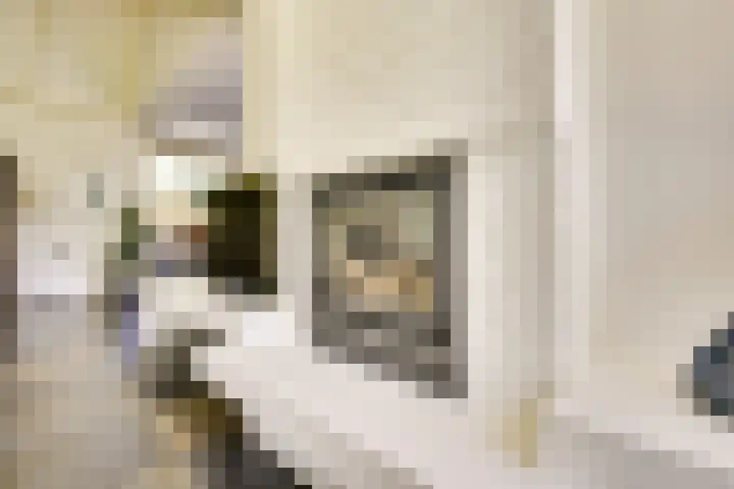 't Zand 6 Vianen thumbnail 22