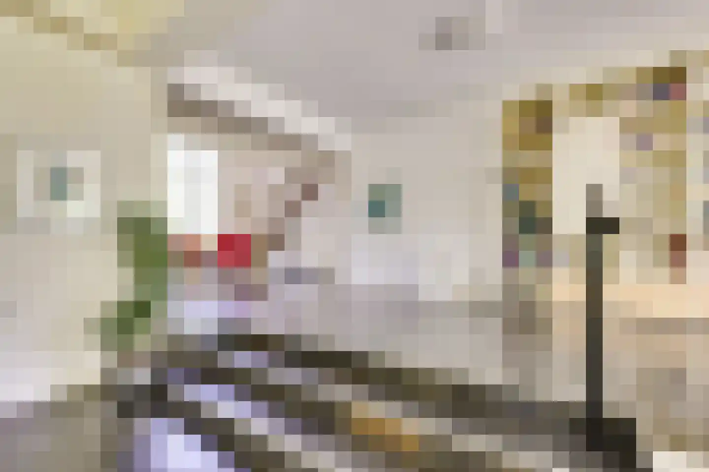 't Zand 6 Vianen thumbnail 24