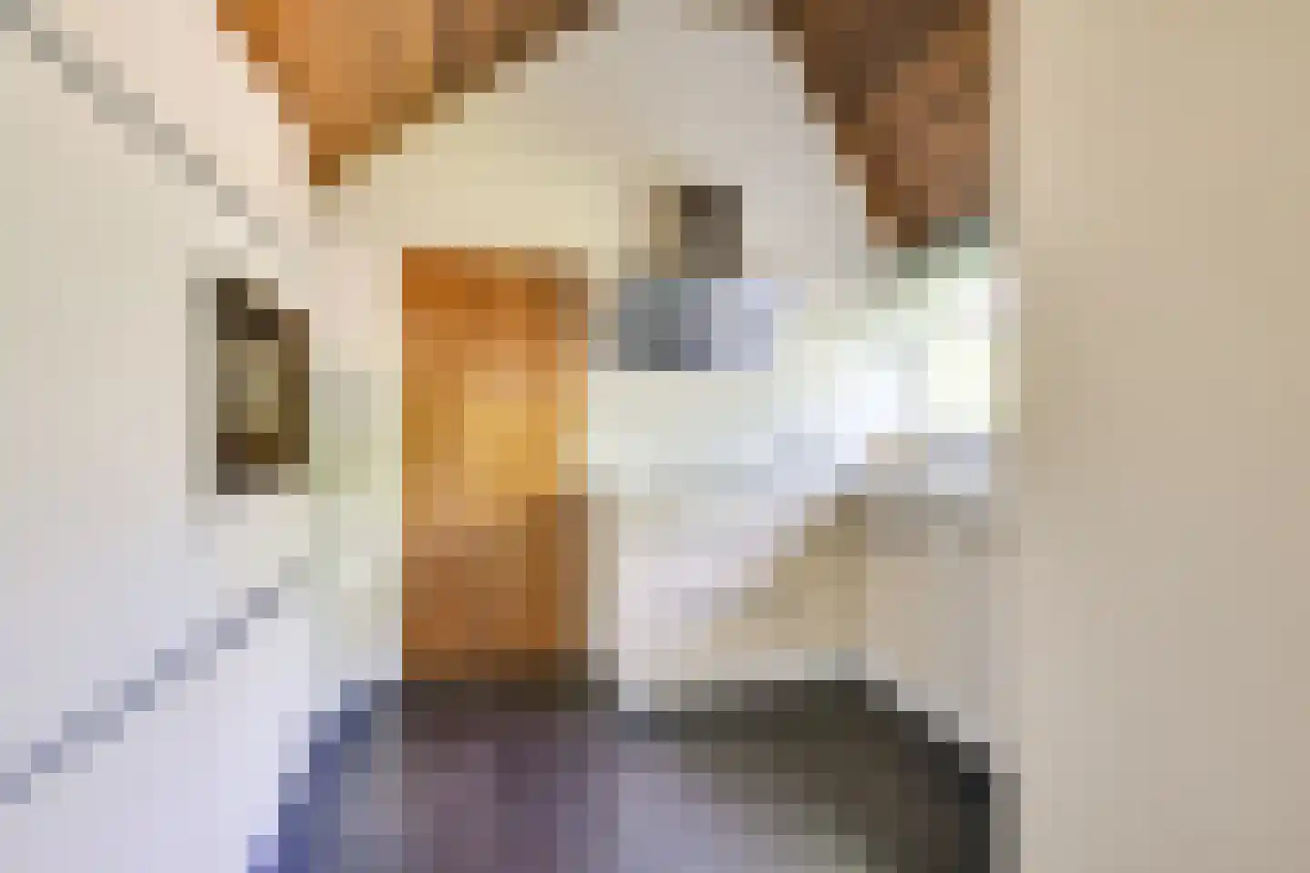 't Zand 6 Vianen thumbnail 25