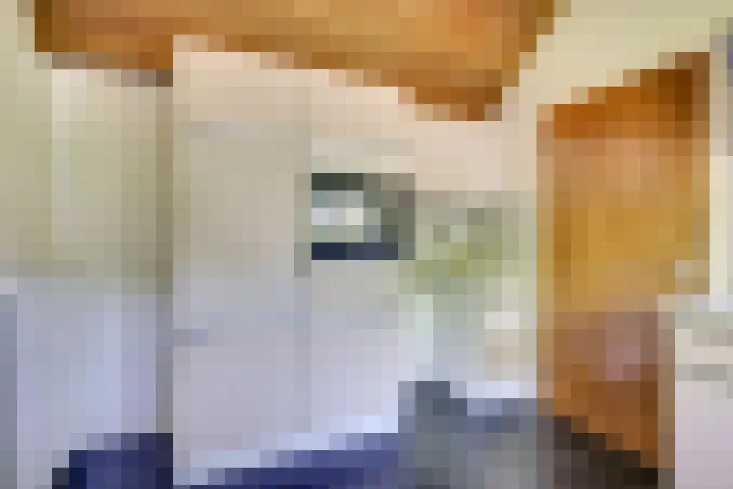 't Zand 6 Vianen thumbnail 29