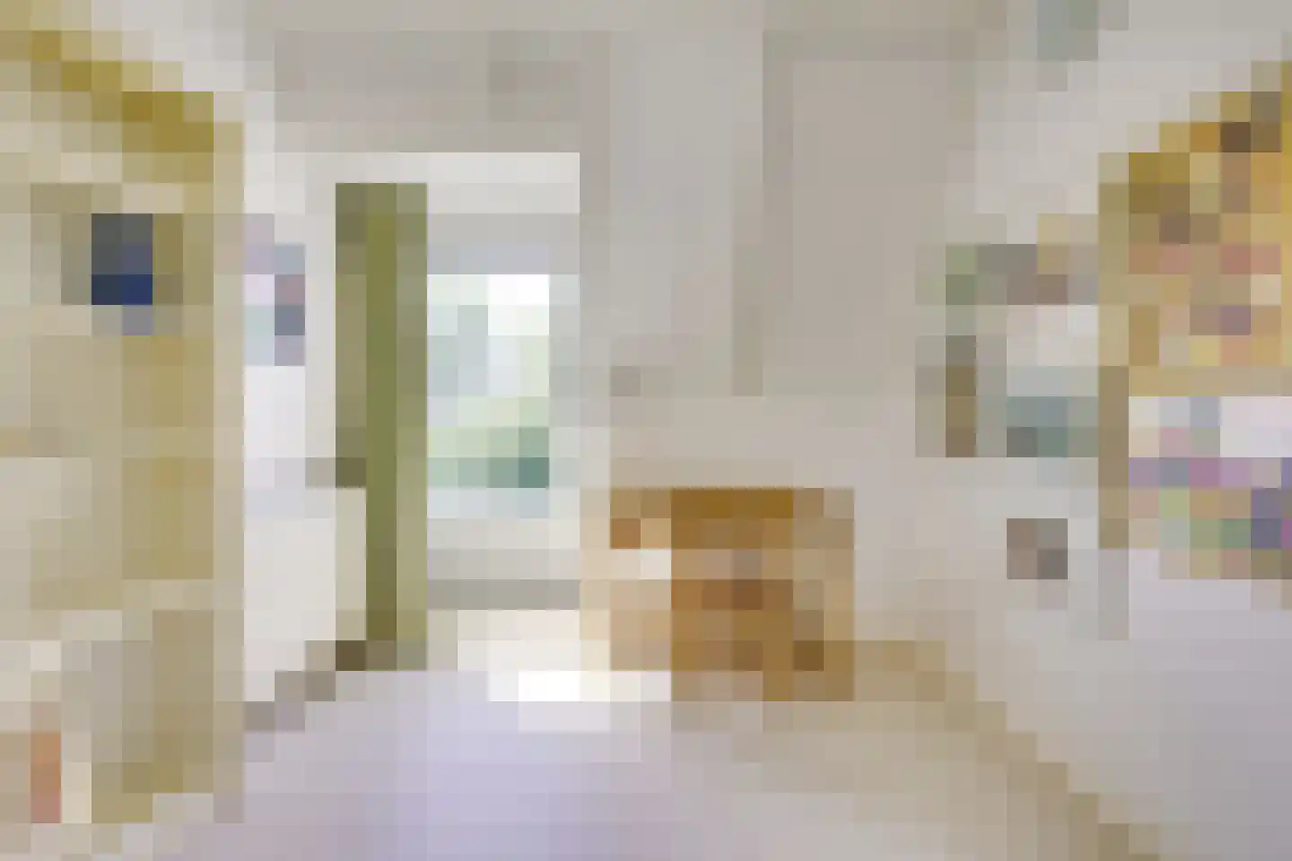 't Zand 6 Vianen thumbnail 45