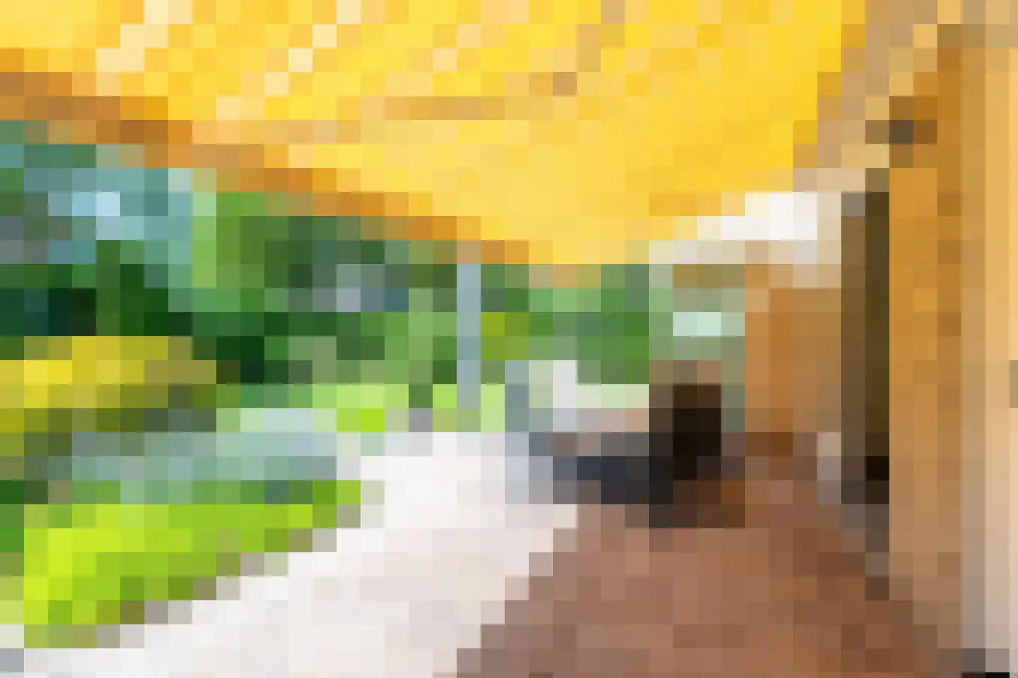 't Zand 6 Vianen thumbnail 50