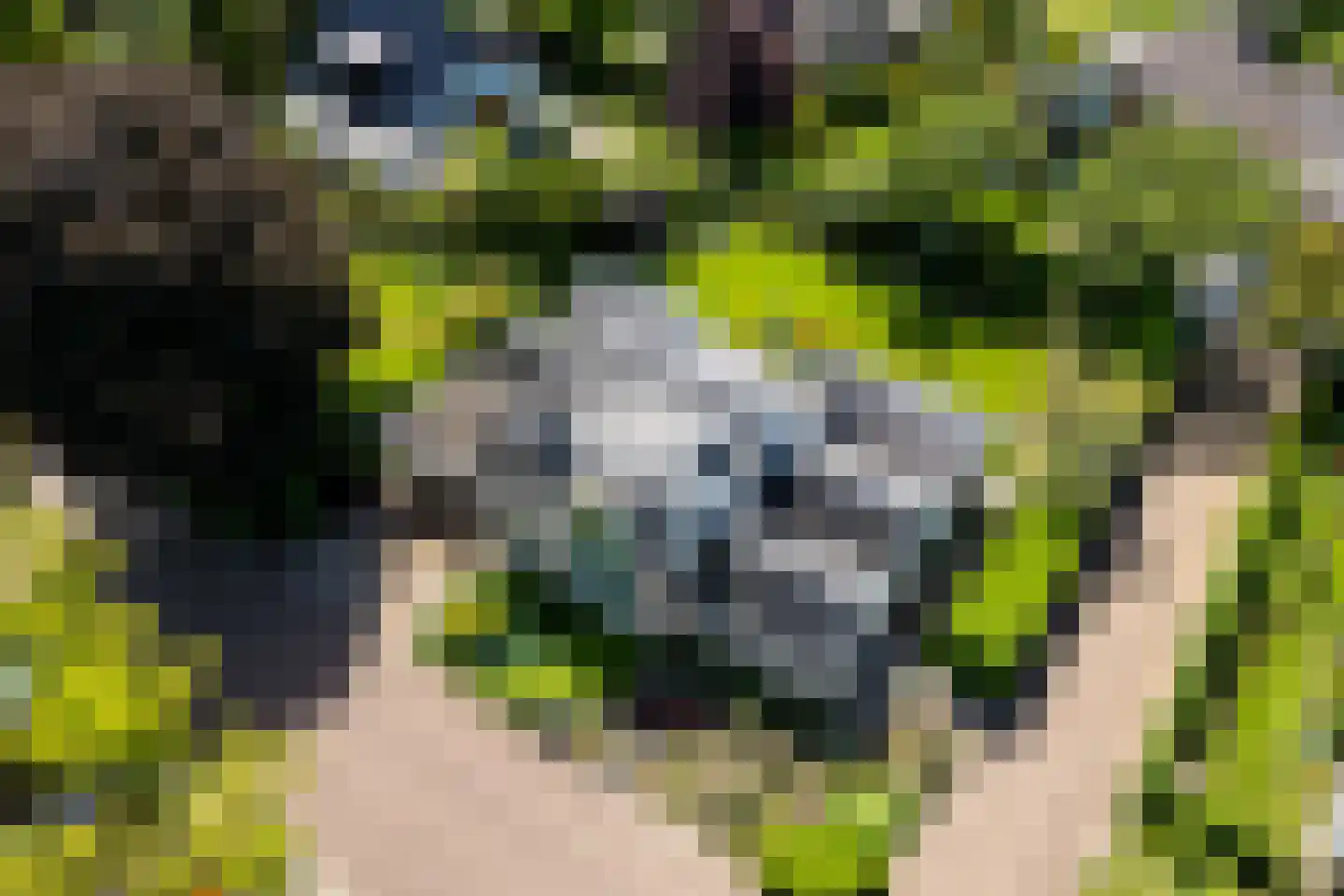 't Zand 6 Vianen thumbnail 63