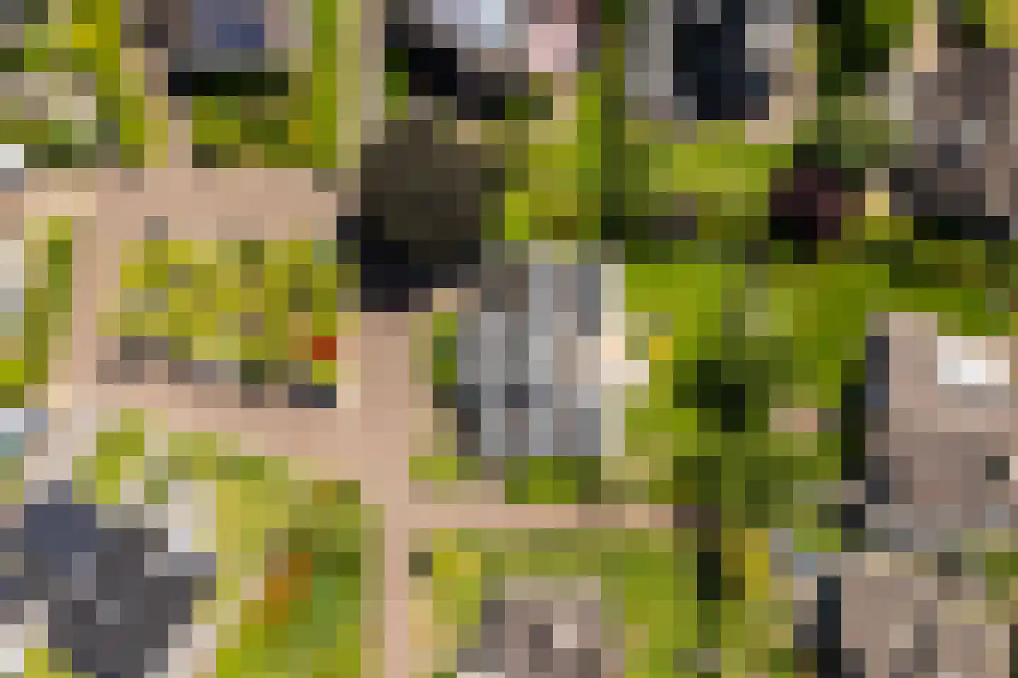 't Zand 6 Vianen thumbnail 64