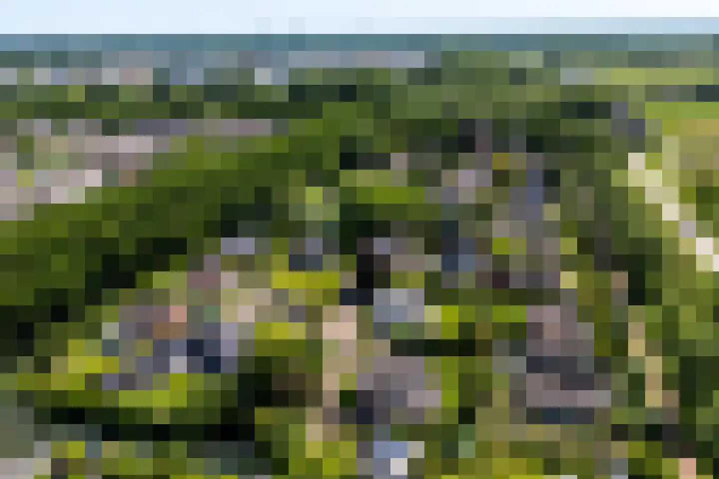 't Zand 6 Vianen thumbnail 66