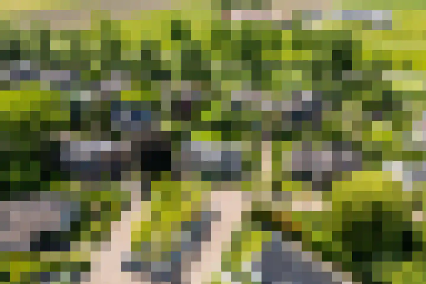 't Zand 6 Vianen thumbnail 67