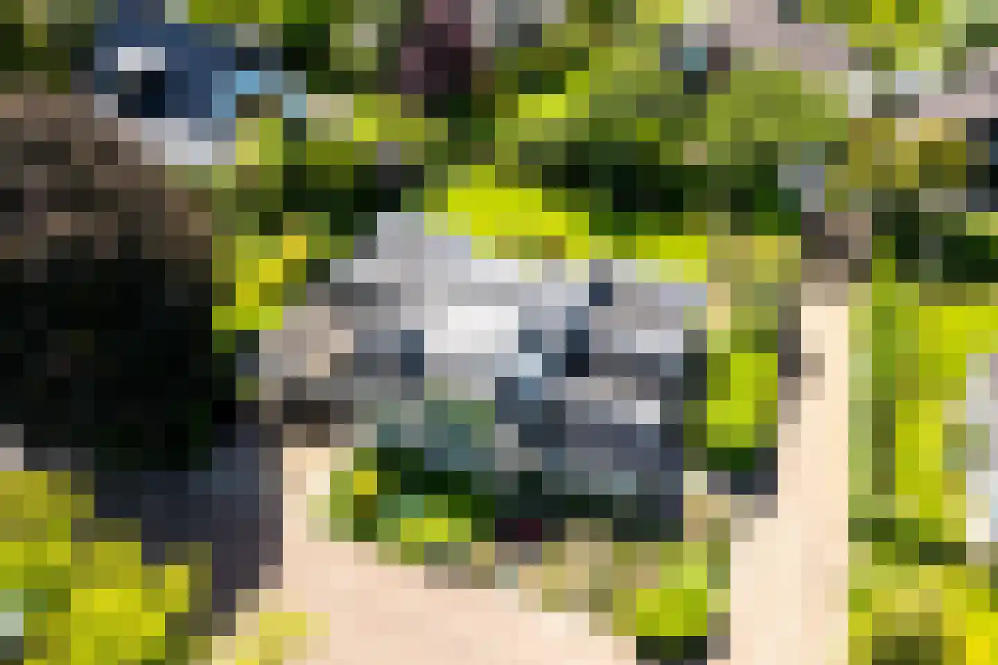 't Zand 6 Vianen thumbnail 68