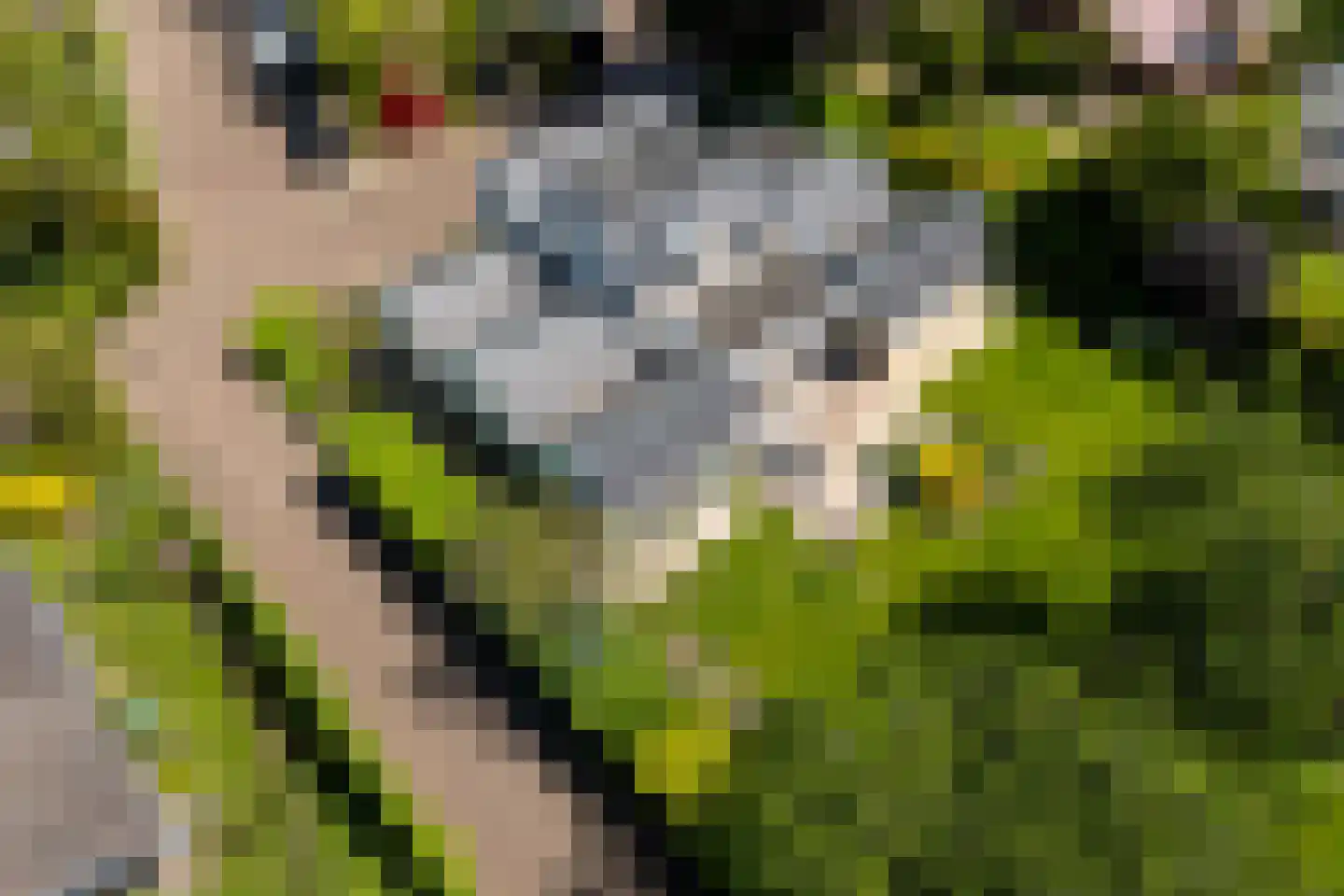 't Zand 6 Vianen thumbnail 70