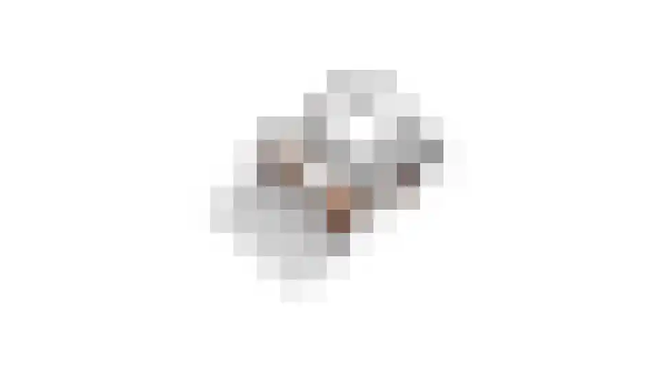 't Zand 6 Vianen thumbnail 77