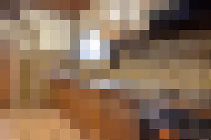 't Zand 68 Joure thumbnail 13