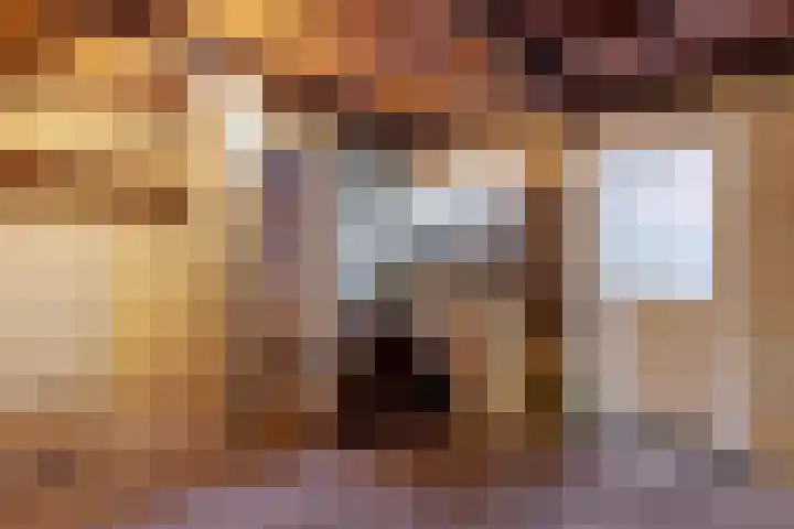 't Zand 68 Joure thumbnail 19