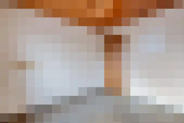 't Zand 68 Joure thumbnail 26