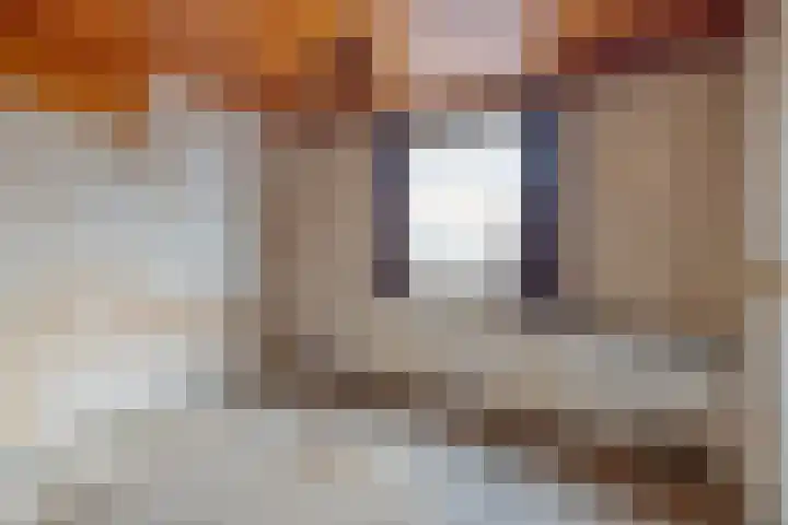 't Zand 68 Joure thumbnail 27