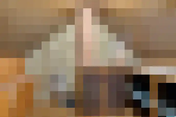 't Zand 68 Joure thumbnail 32