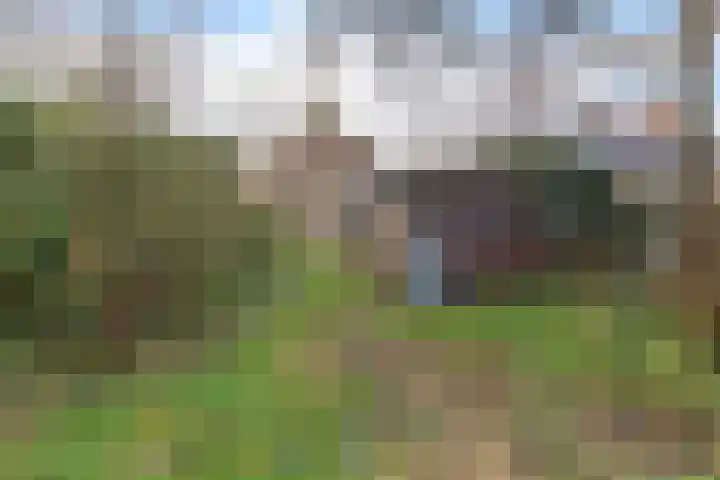 't Zand 68 Joure thumbnail 37
