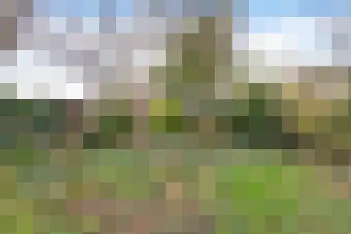 't Zand 68 Joure thumbnail 38