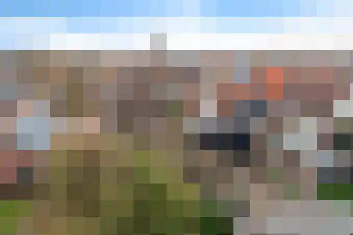 't Zand 68 Joure thumbnail 40