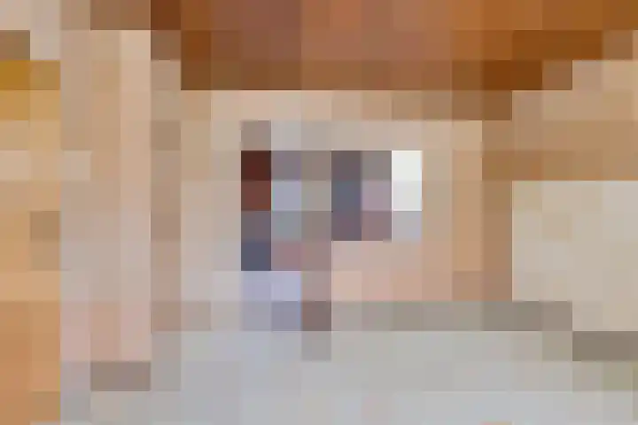 't Zand 68 Joure thumbnail 9
