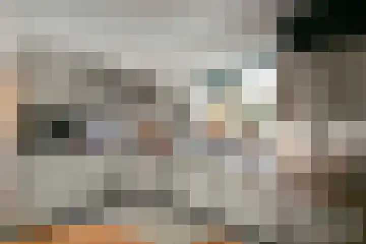 't Zand 8 Utrecht thumbnail 13