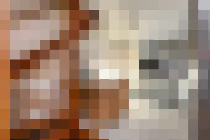 't Zand 8 Utrecht thumbnail 17