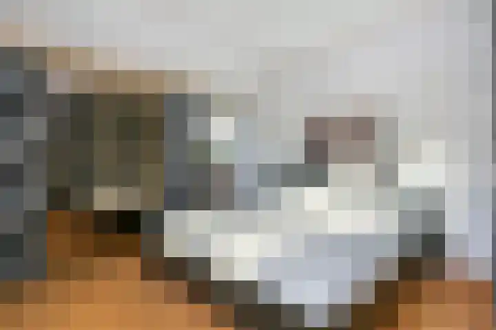 't Zand 8 Utrecht thumbnail 20