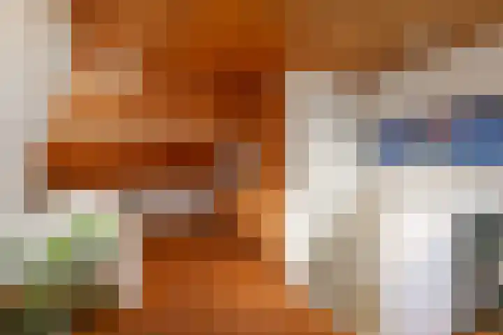 't Zand 8 Utrecht thumbnail 25