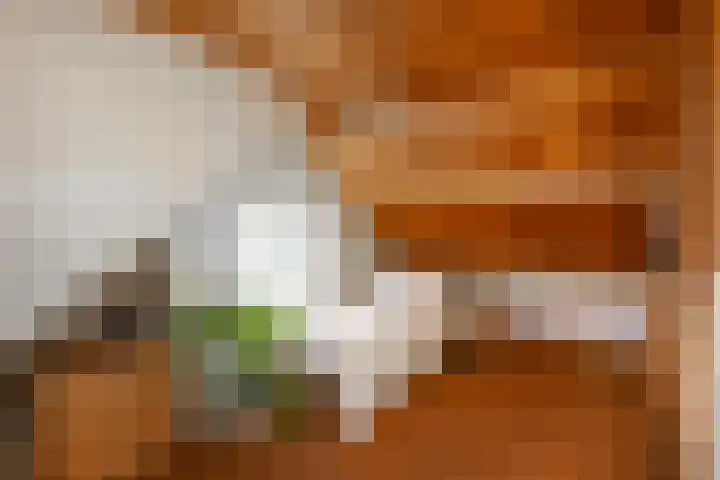 't Zand 8 Utrecht thumbnail 26