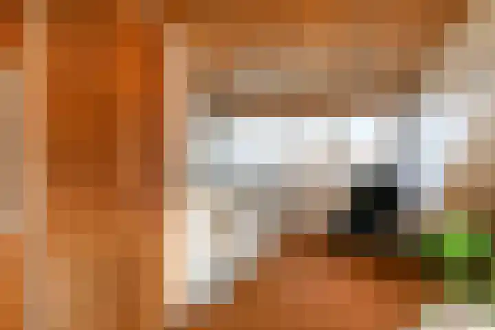 't Zand 8 Utrecht thumbnail 27