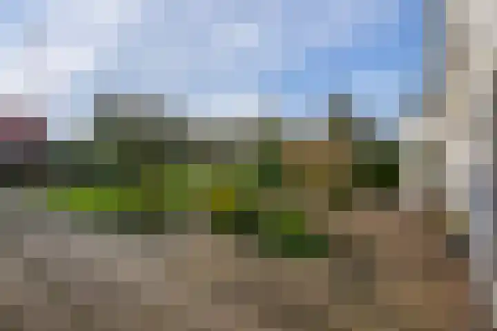 't Zand 8 Utrecht thumbnail 29